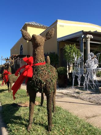 ChristmasDeerTopiary