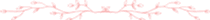 Divider-Pink