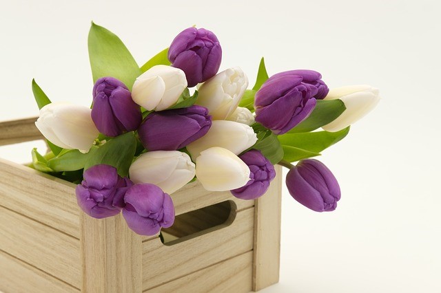 Flower-Delivery-Houston-Tx