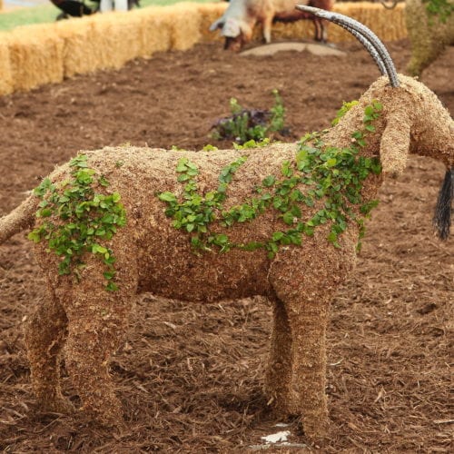 GoatTopiary
