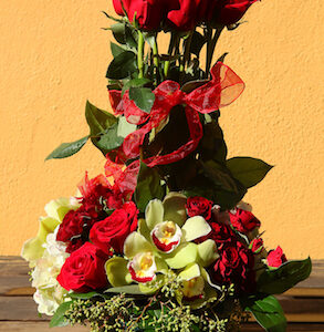 ROSE-TOPIARY
