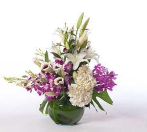 SpringDelight