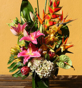 TOUCH-OF-TROPICAL