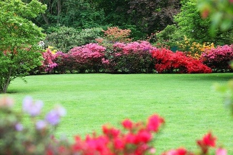 Top-10-Garden-Design-Trends-of-2015-Gardenista-January-5-2015 Top-10-Garden-Design-Trends-of-2015-Gardenista-January-5-2015