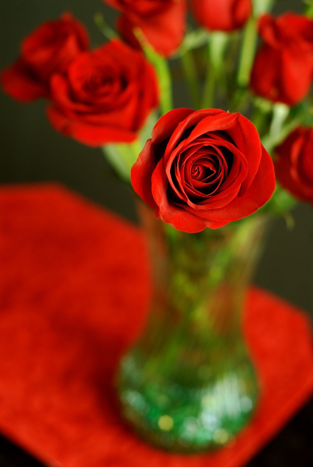 Fresh, Beautiful Red Roses from florists in Houston on Kitchen Table