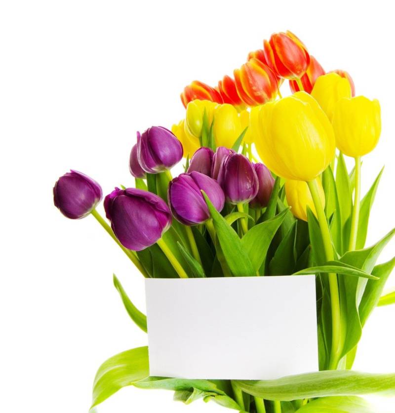flower-gift-2-800x836 flower-gift-2-800x836