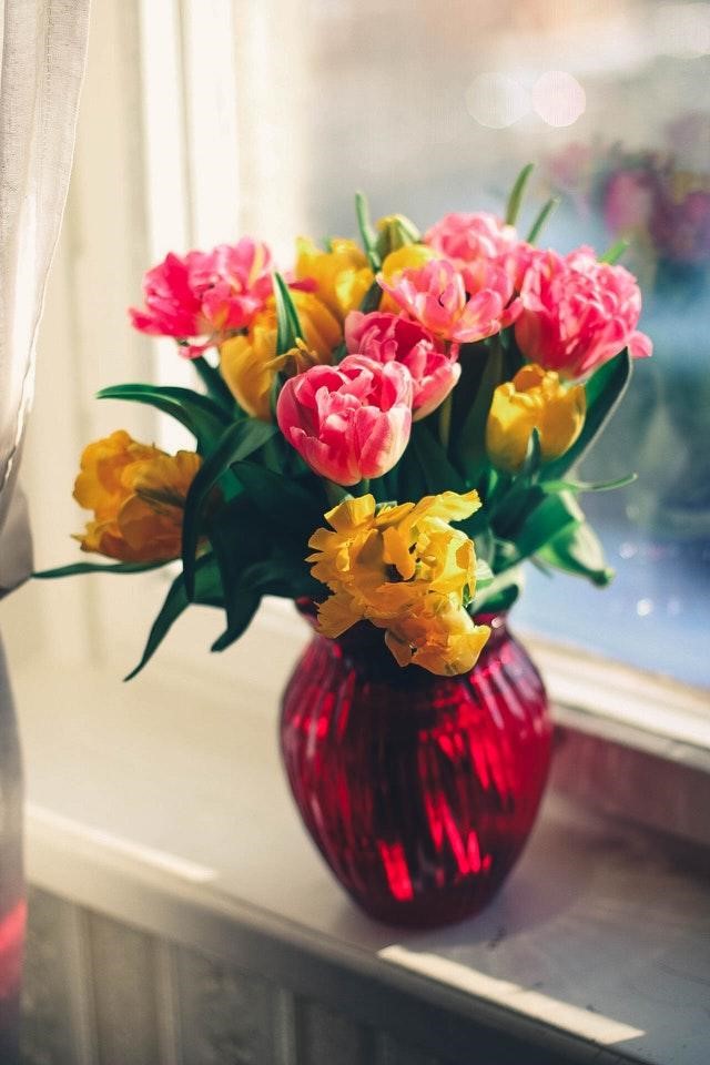 fresh-everyday-flowers-on-a-window-sill
