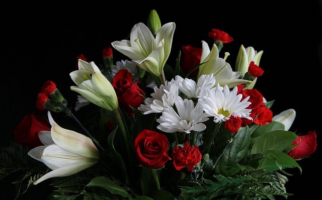 fresh-red-and-white-flowers