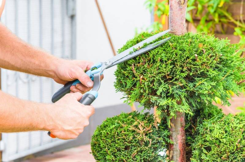 garden-designs-florist-800x530