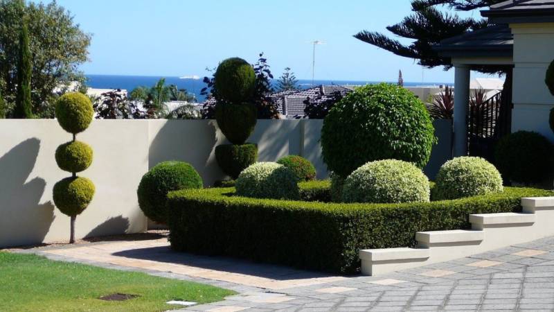 many-benefits-of-topiary-800x450