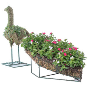 peacock_topiary-houston