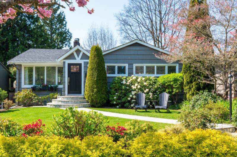 plant-and-garden-maintenance-800x533 plant-and-garden-maintenance-800x533