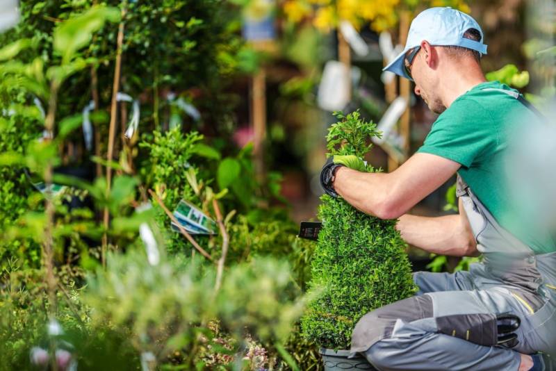 practical-plant-and-garden-tips-800x534
