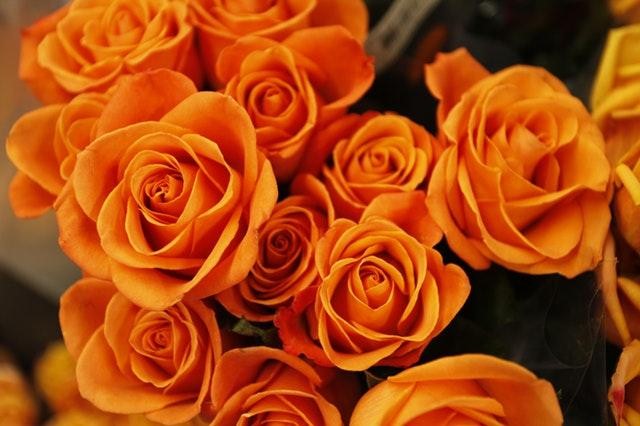 professional-florist