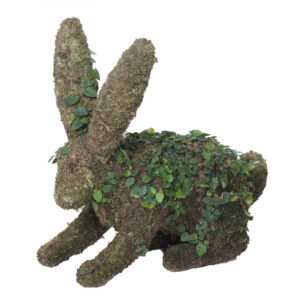 rabbit_topiary-houston