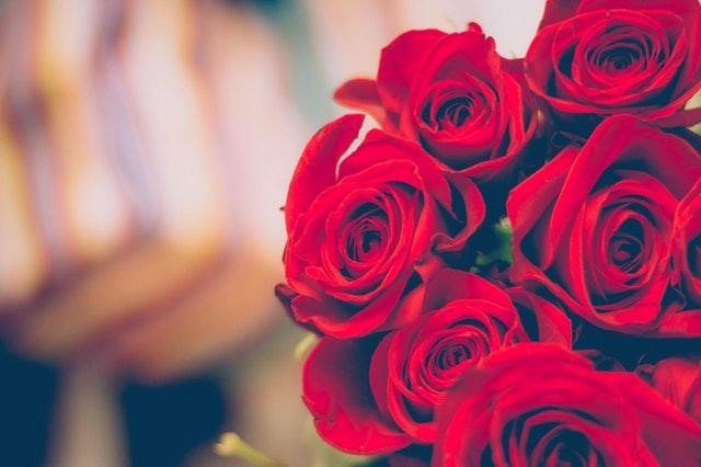 red-roses-for-a-special-someone red-roses-for-a-special-someone