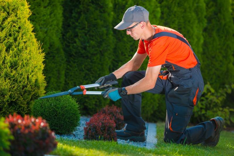 regular-maintenance-service-800x534
