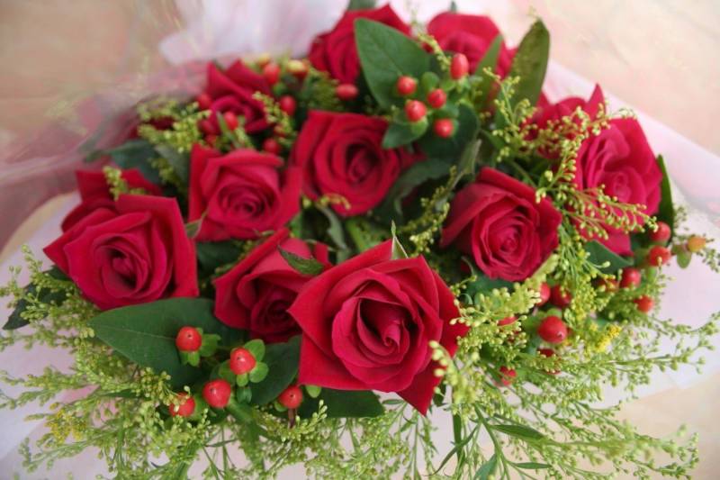 rose-colors-800x533