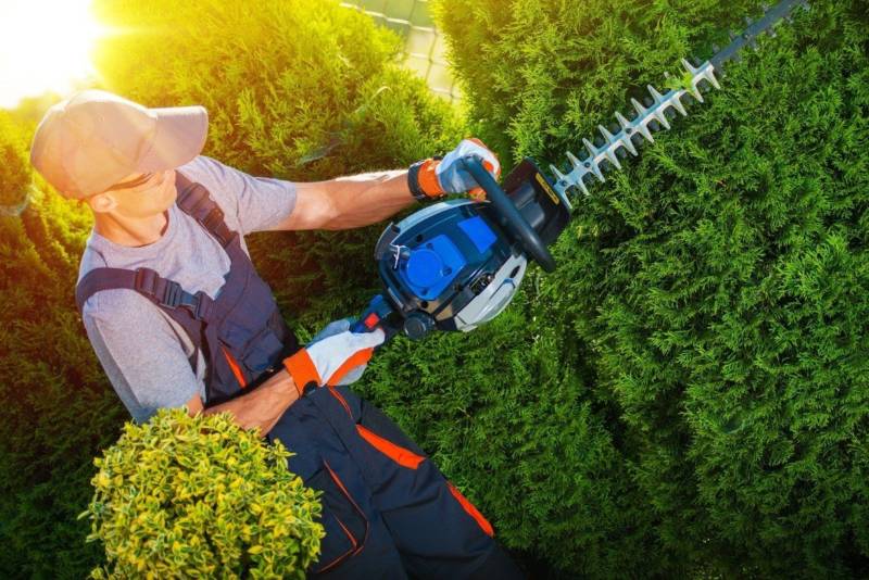 topiary-services-800x534