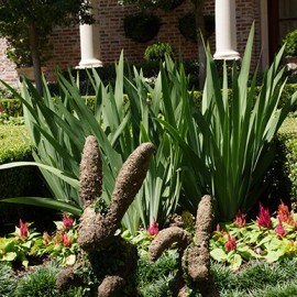 topiary_rabbit-270x270