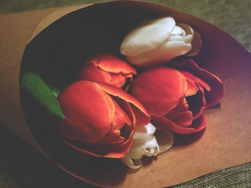 tulips-for-your-male-loved-one-or-friend-800x600