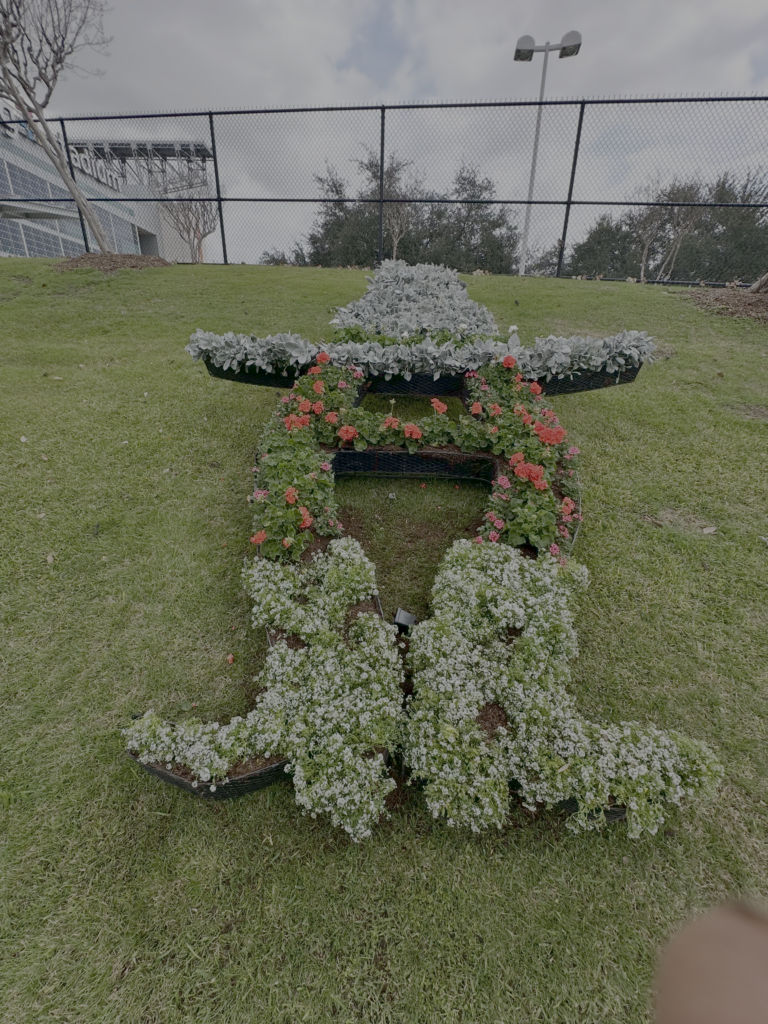 Rodeo Topiary