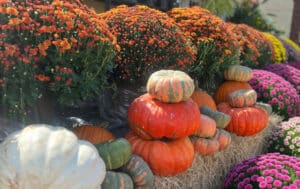 How to Bring Fall Color Into Your Home & Landscape