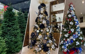Fresh Christmas Trees in Houston: Pre-Order for the Holidays