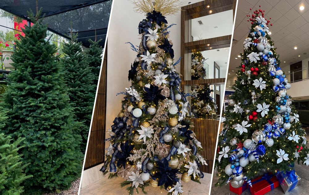 Fresh Christmas Trees in Houston: Pre-Order for the Holidays